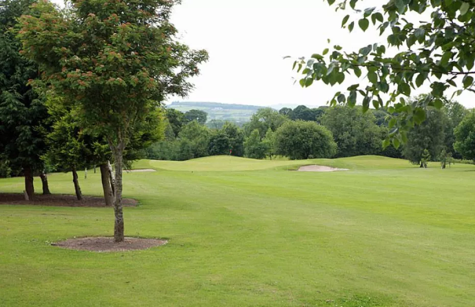 Castlewarden GC: #8
