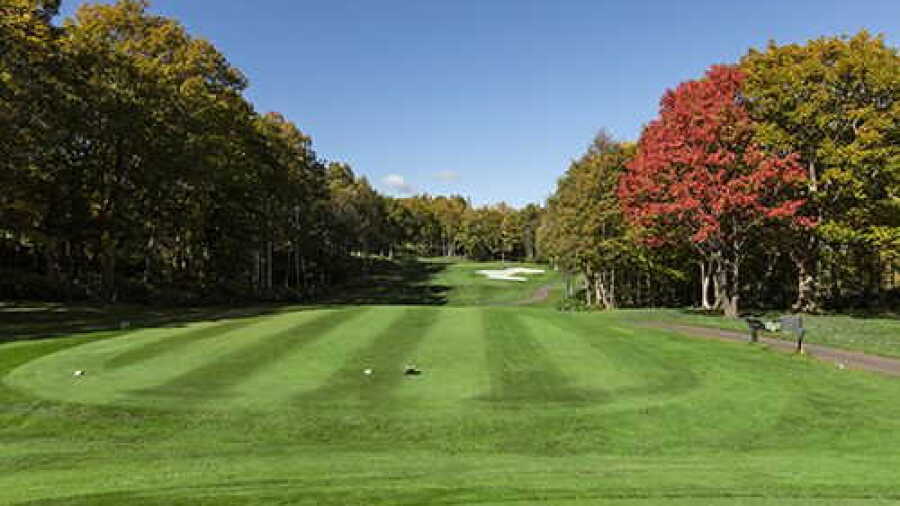 Hanazono Golf Niseko: #11
