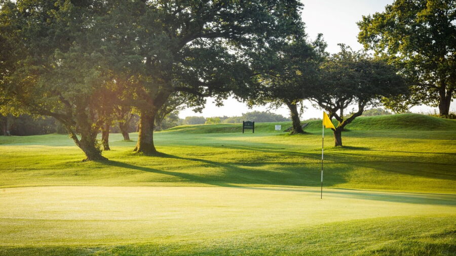 Pyecombe GC: #4