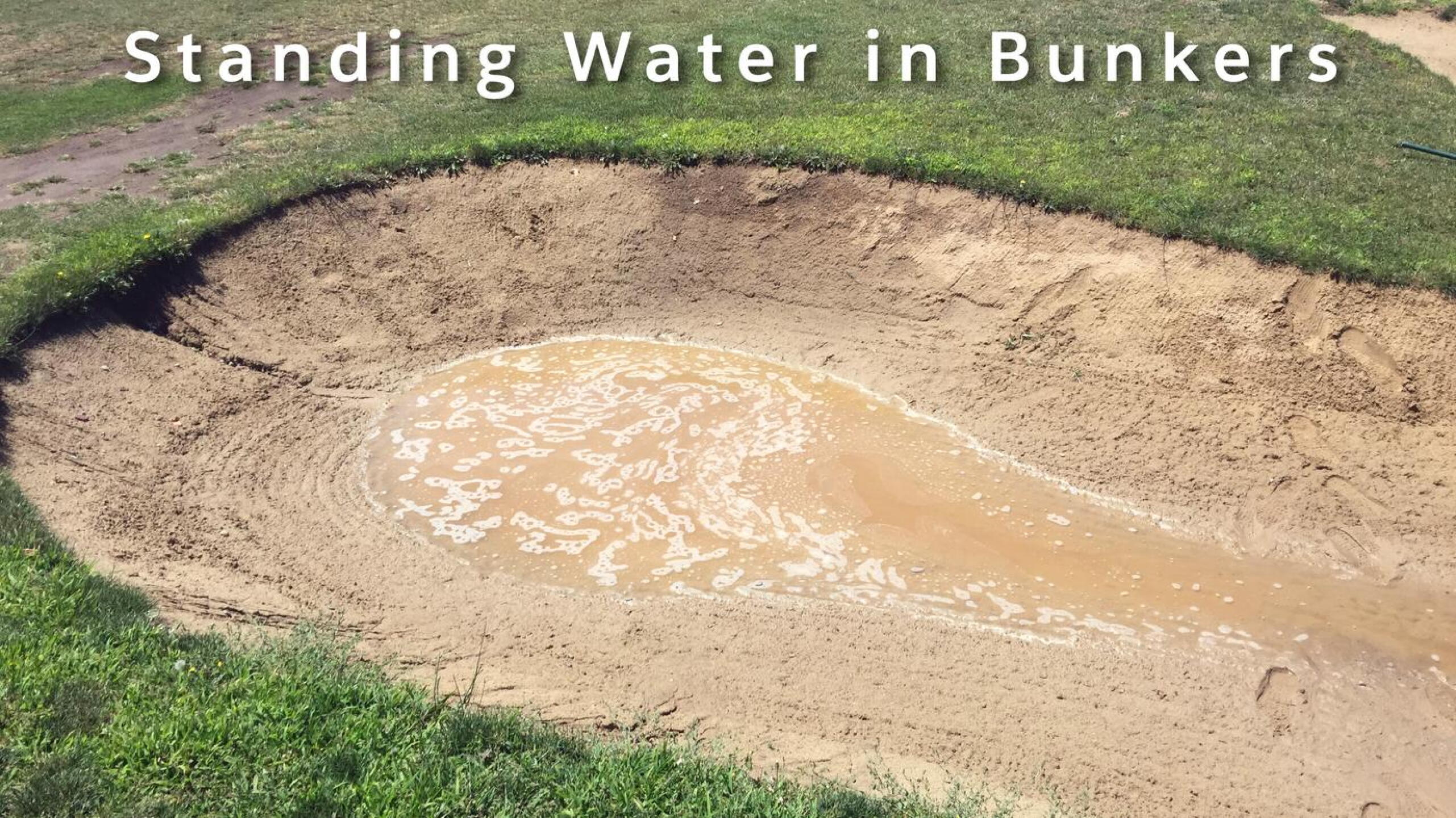 Plenty of water, just not going on the fairways. Most bunkers were very muddy. Several had standing water in them at noon on a day when it was 86 degrees. (Photo submitted by danstone360 on 07/25/2015)
