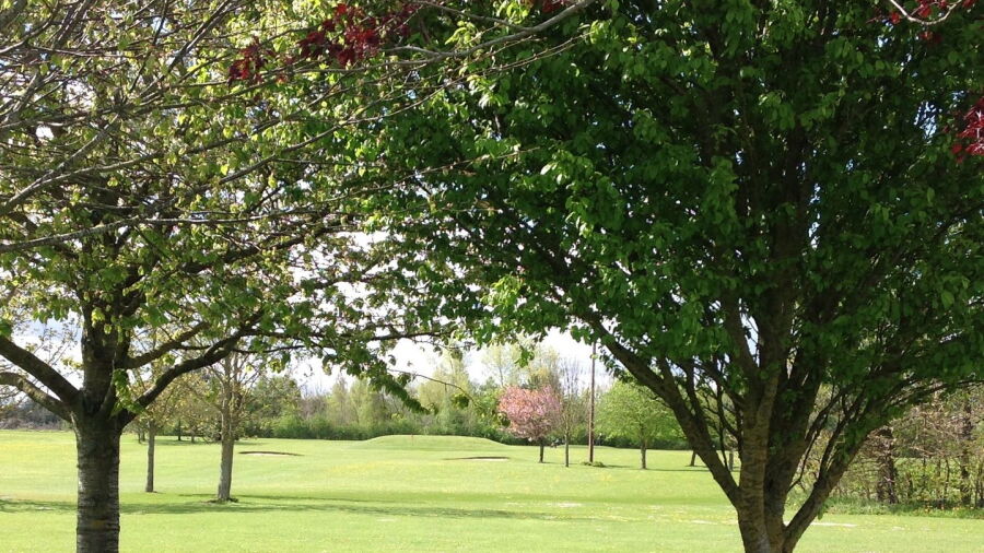 Liffey Valley Par-3 GC