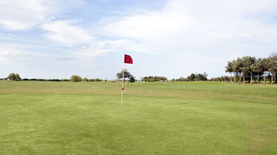 Skegness GC: #8
