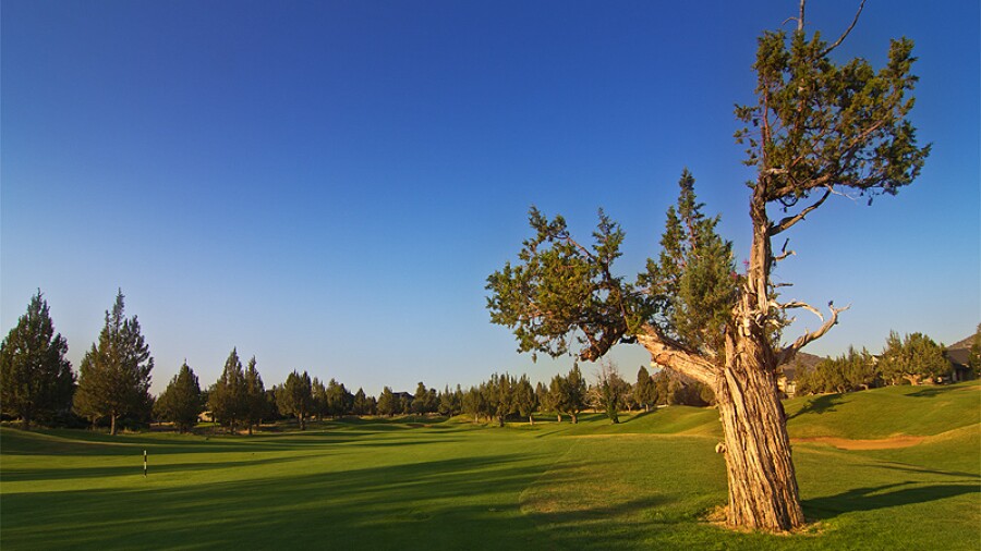 Eagle Crest Resort - Ridge golf course - 8th