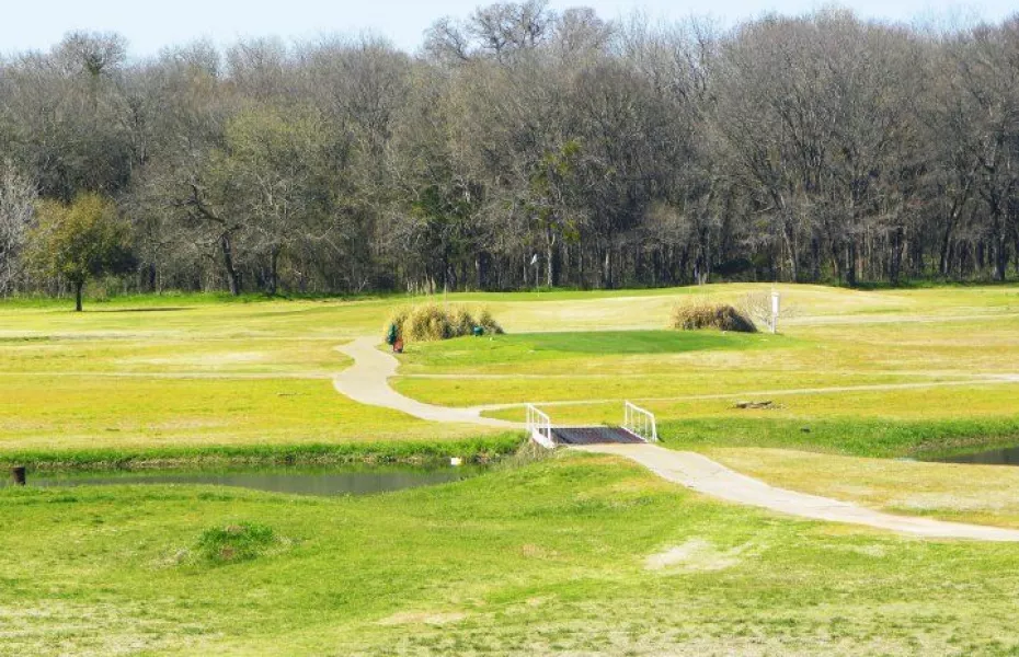 Bosque Valley GC: #9