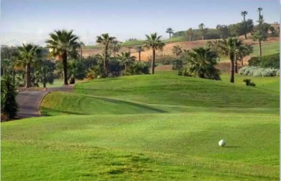 Sinai Golf Heights
