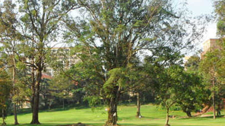 Uganda GC
