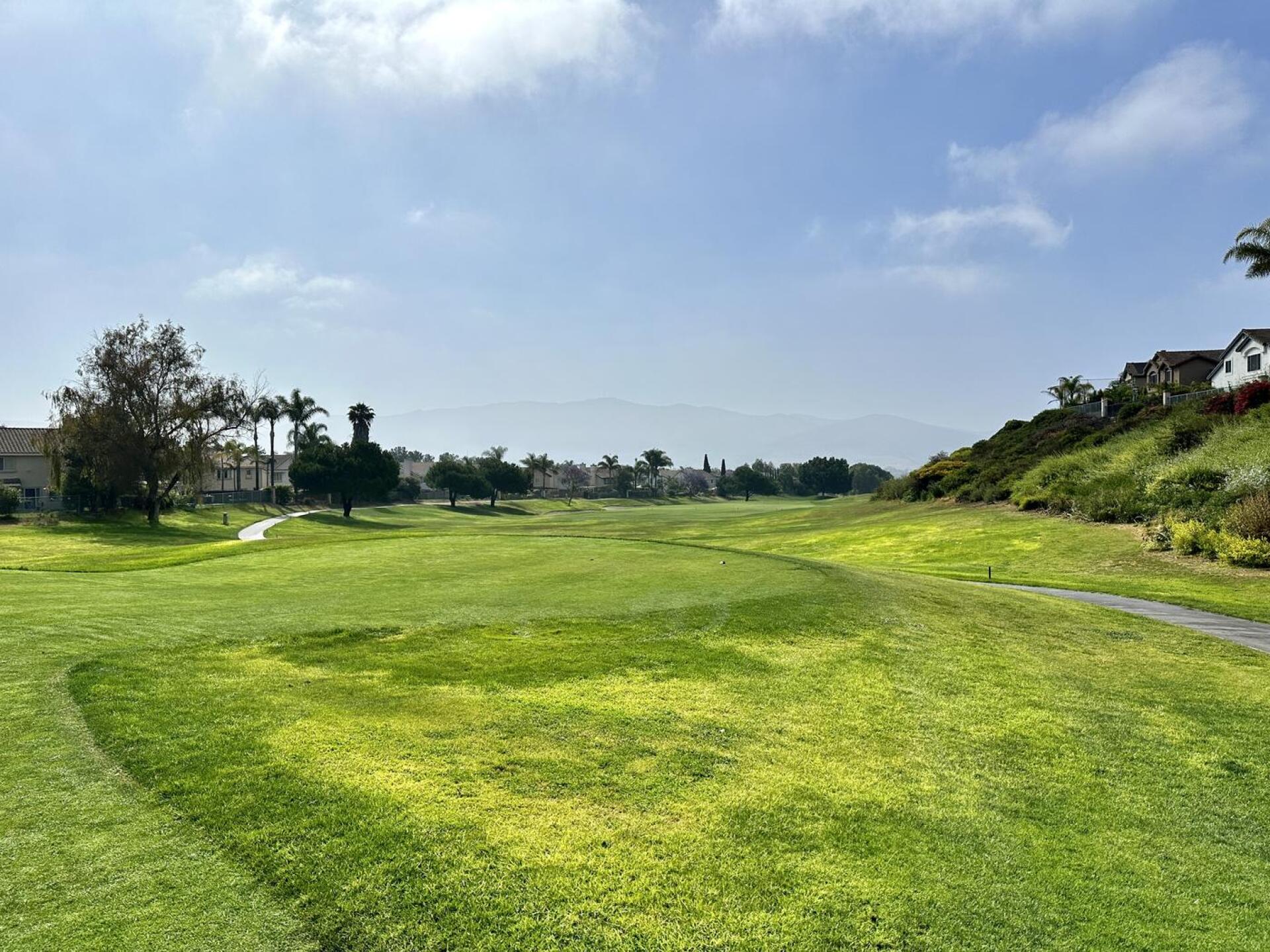 (Photo submitted by u314164028636 on 07/11/2023)