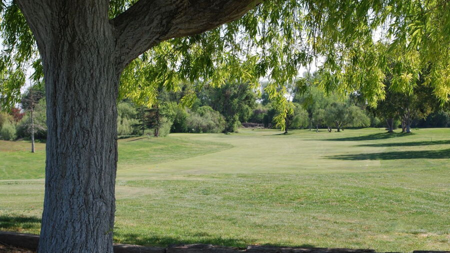 Jack Tone Golf