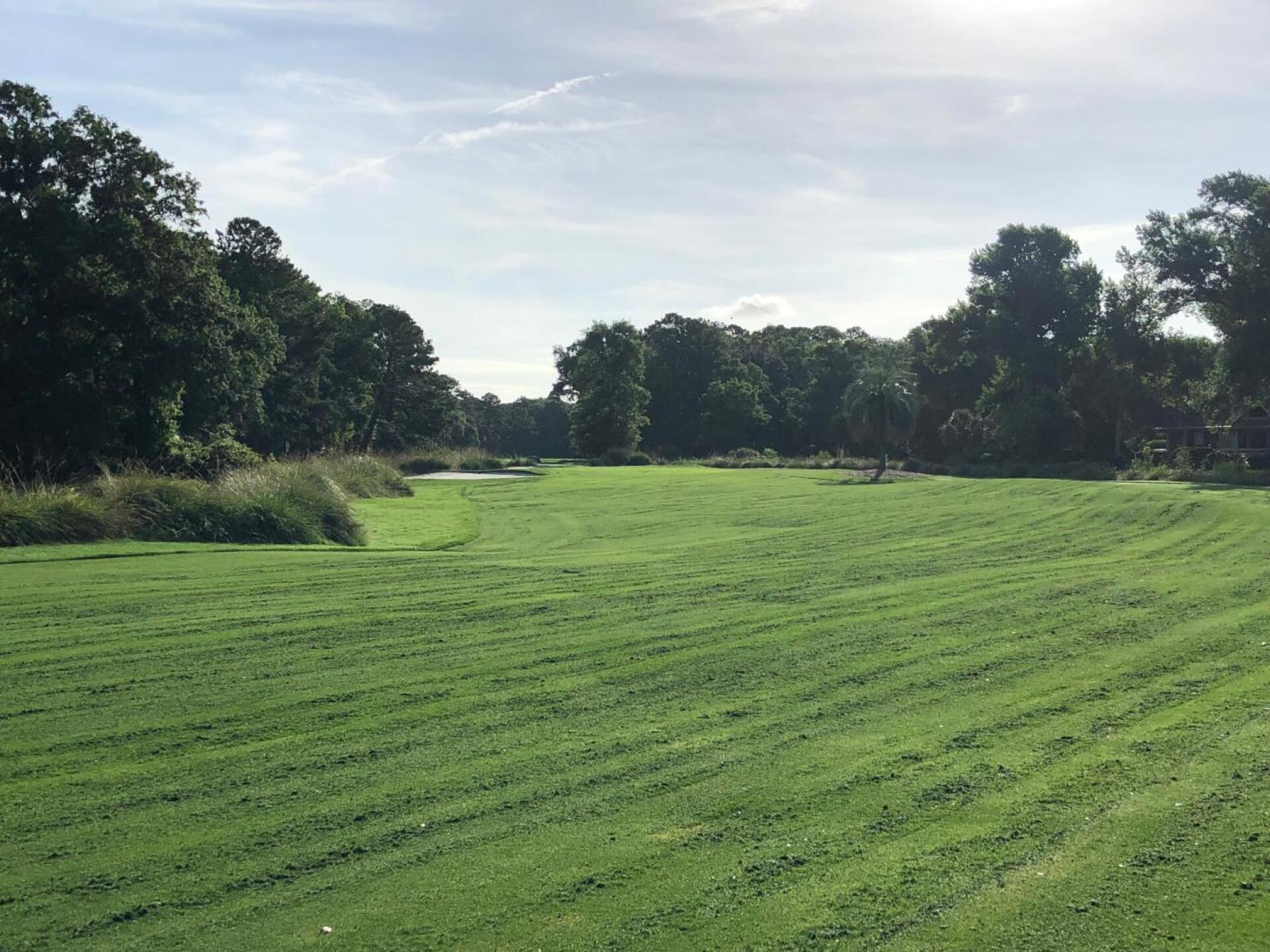 (Photo submitted by adaberne7 on 06/23/2019)