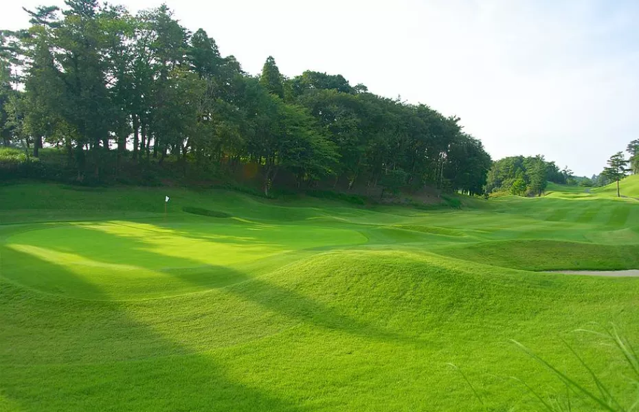 Narita Hills CC: #1