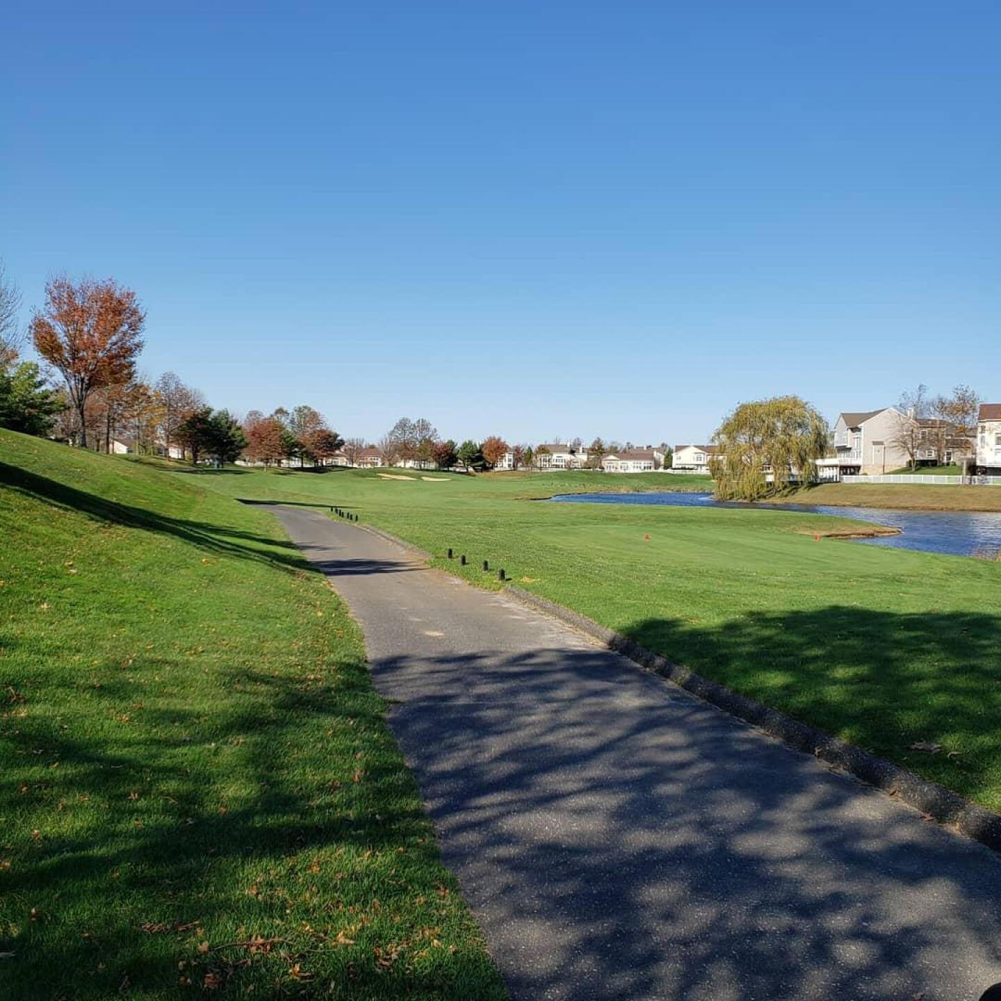 (Photo submitted by u688448278 on 11/08/2019)