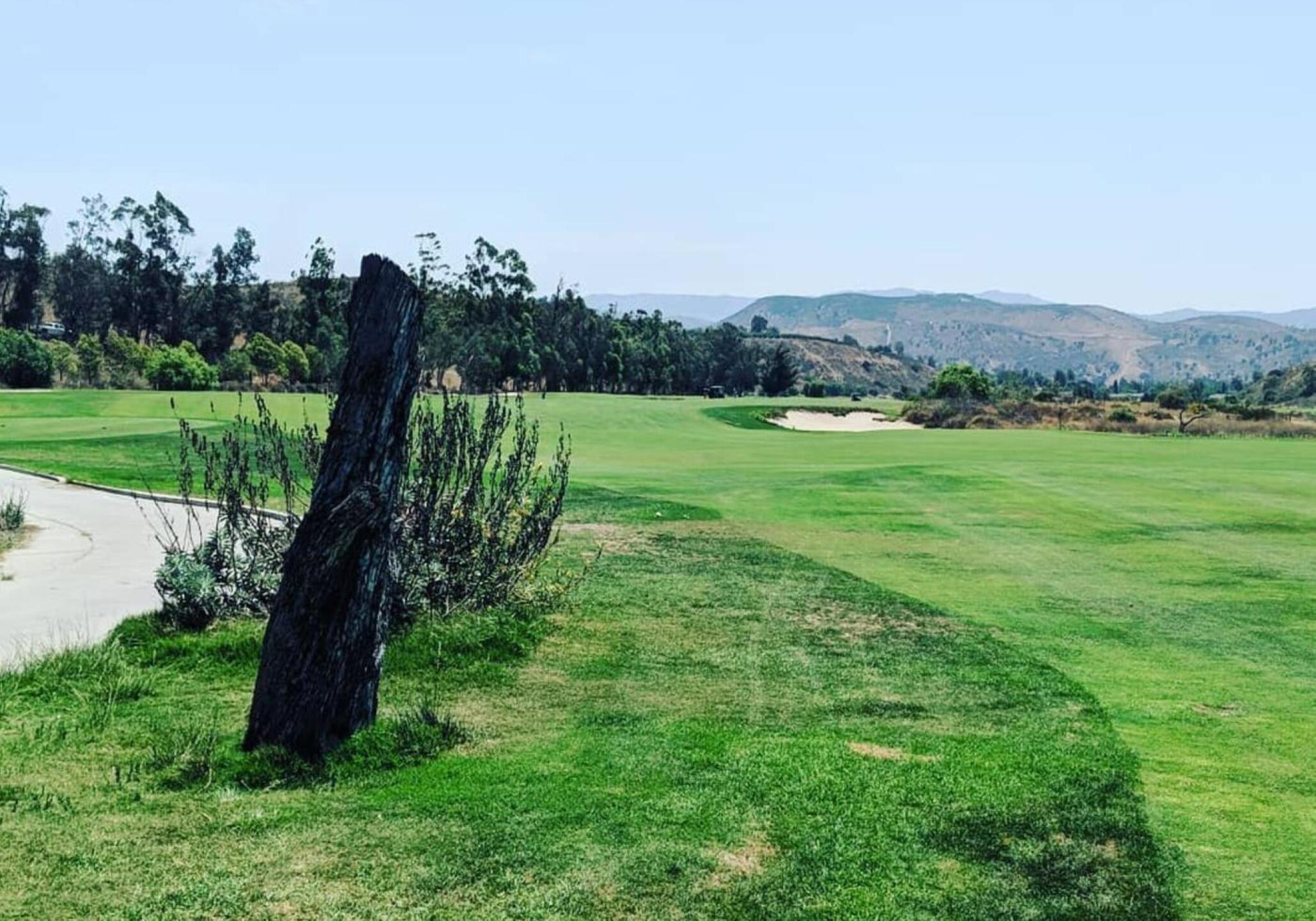 (Photo submitted by sorenj on 07/31/2018)