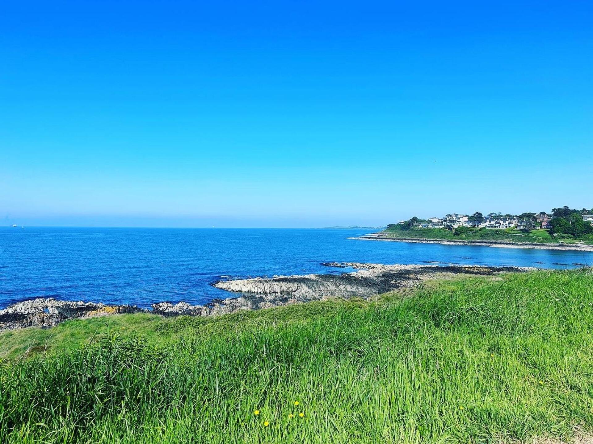 (Photo submitted by GBlair85 on 06/07/2023)