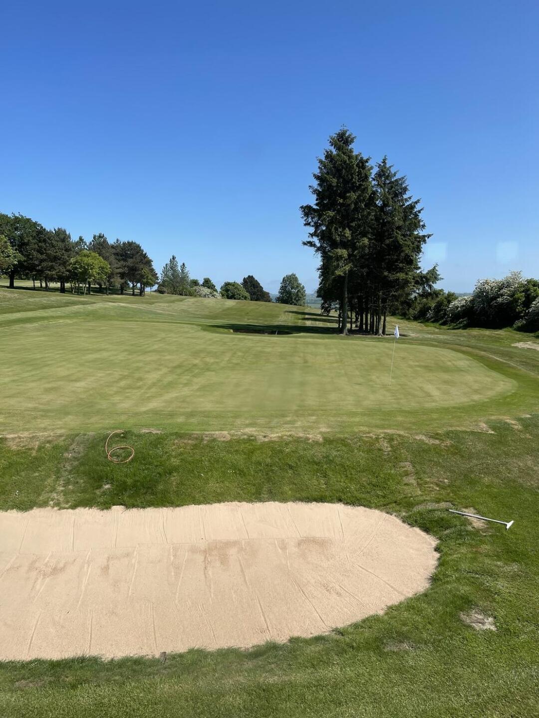 (Photo submitted by u314161654289 on 06/06/2023)