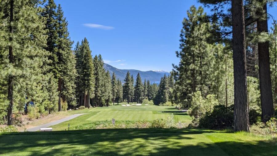 Champions course at Incline Village - trees