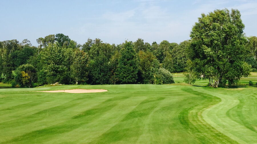 Vinbergs GC - Short: #3