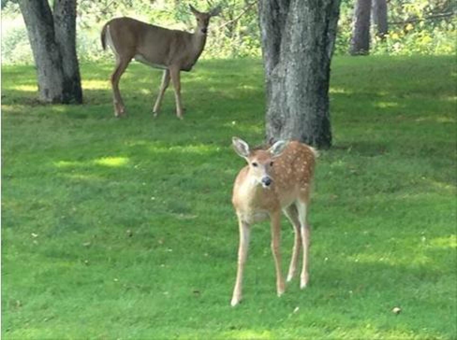 Tee box on #8 (Photo submitted by Rehmwa on 08/31/2015)