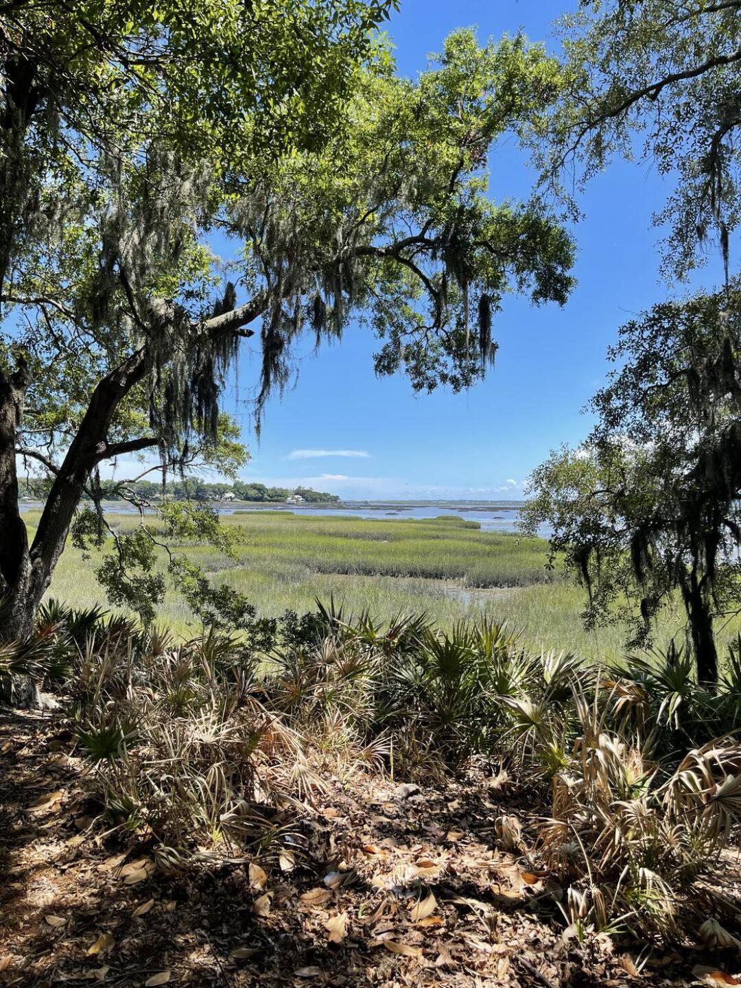 (Photo submitted by wbricker on 07/01/2022)