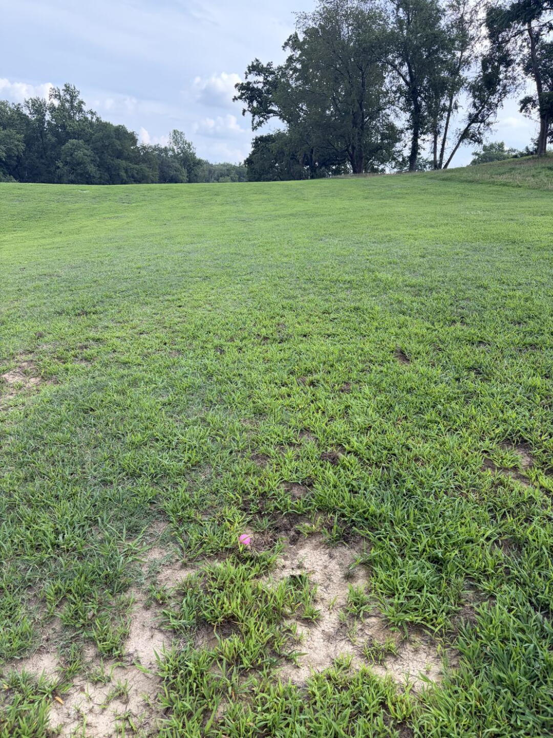 (Photo submitted by SsIs2r1SRjtziaaC8Yj2 on 07/11/2026)