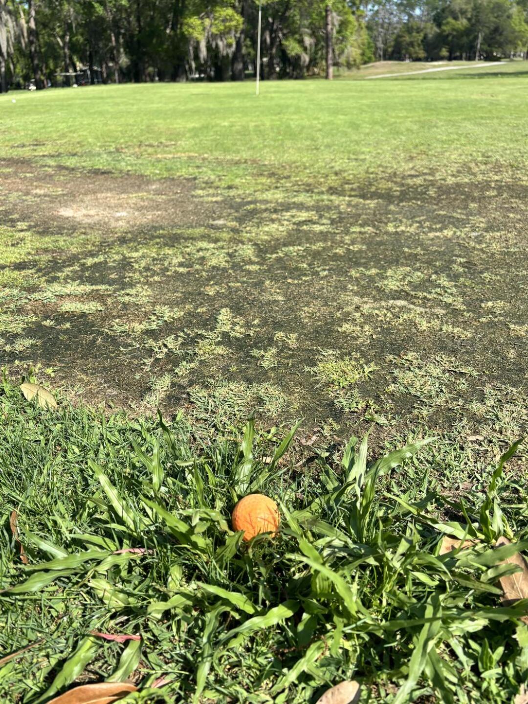 (Photo submitted by taazzgametime on 04/04/2026)