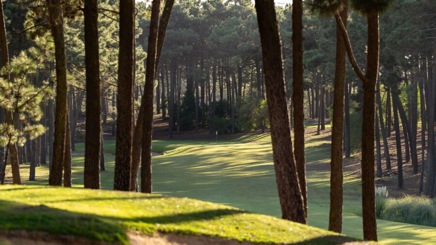 PGA Aroeira No. 2