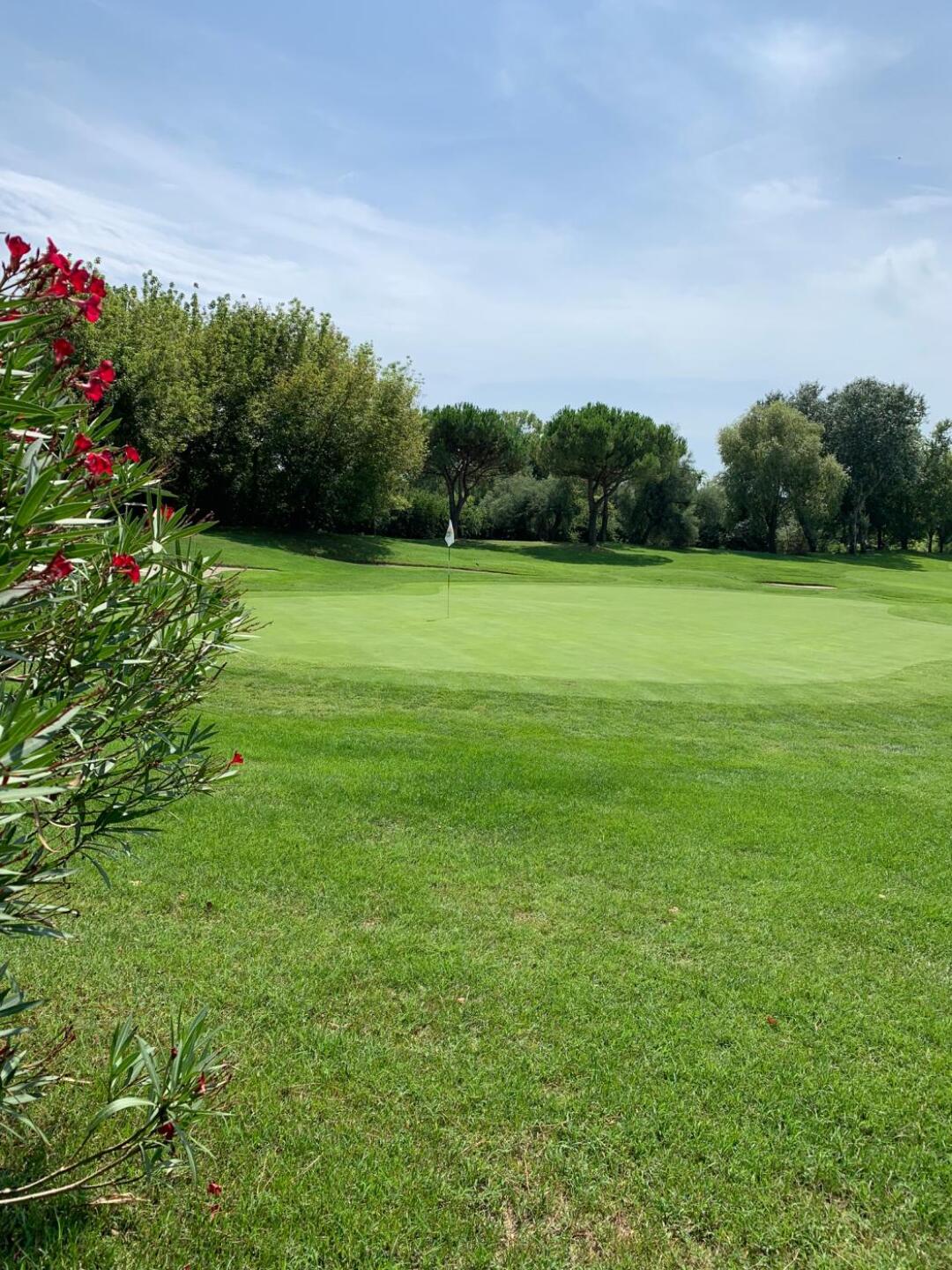 (Photo submitted by GDhcKsOPaT0mscRavymg on 08/23/2019)