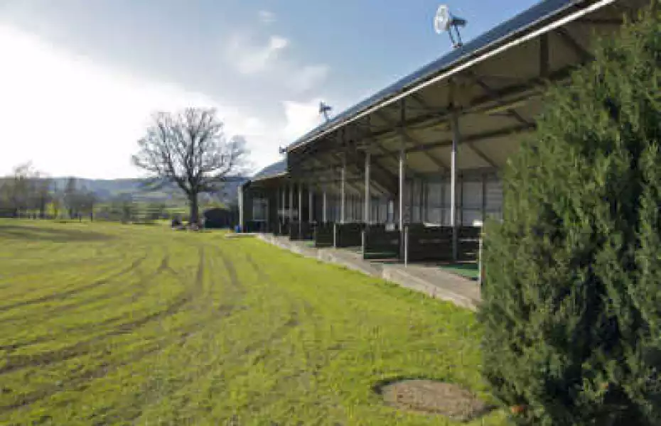 Mid Wales Golf Centre: Driving range