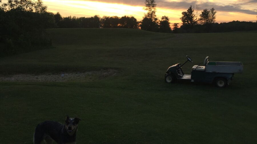 Beechwood GC