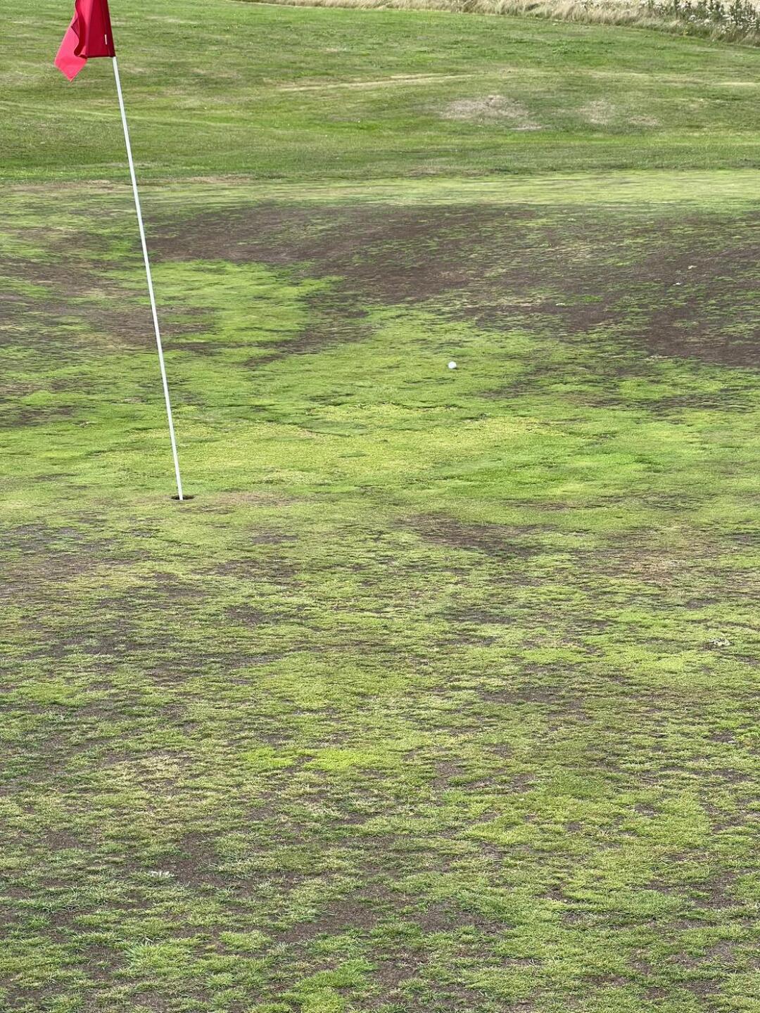 (Photo submitted by t2076755174 on 08/30/2023)