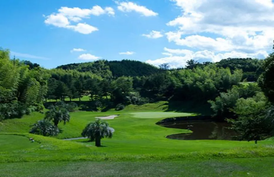 Kishiwada CC - Pine: #8