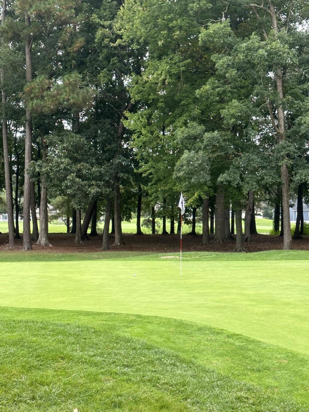 (Photo submitted by kennxrd on 09/01/2024)