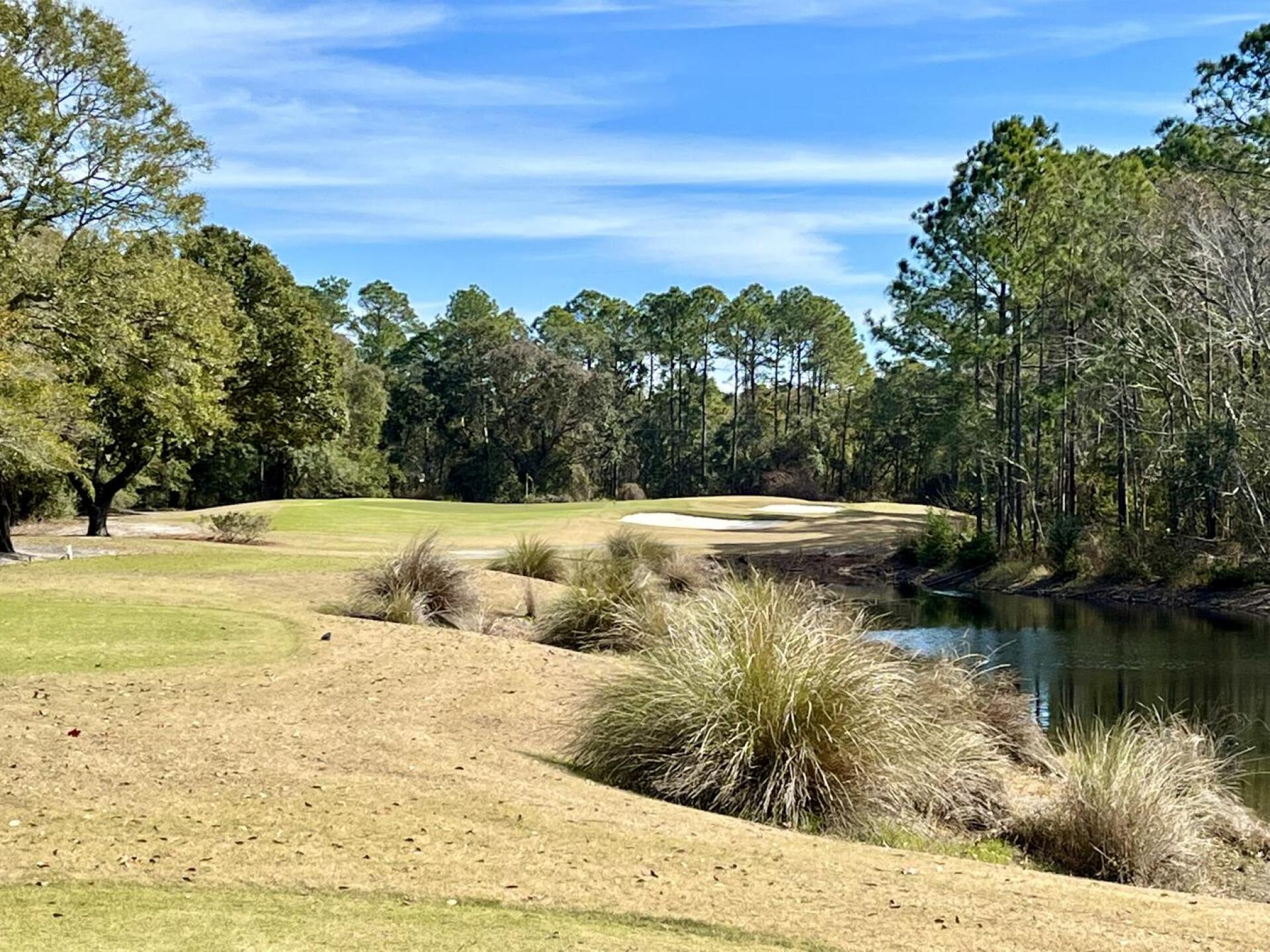 (Photo submitted by QuantumGolfx on 03/06/2022)