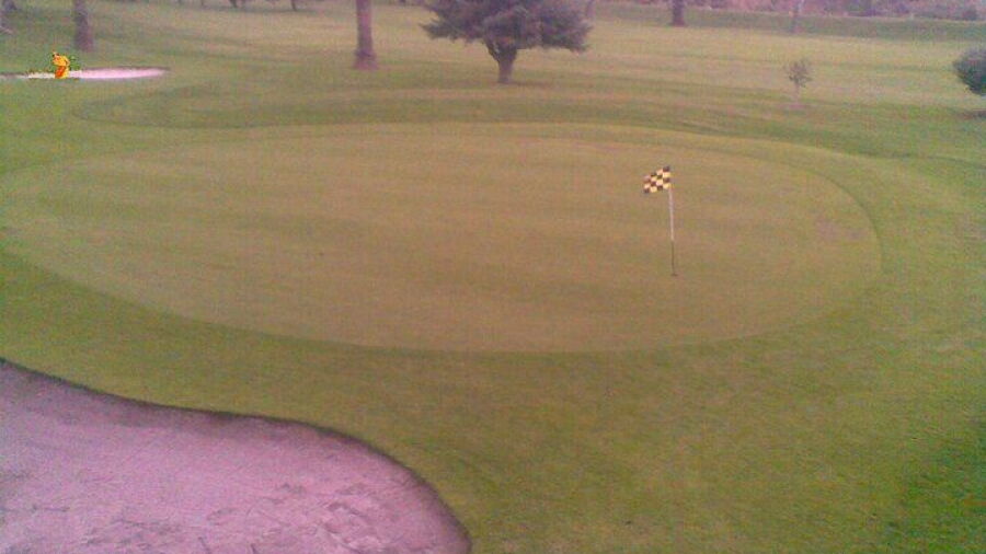 Feilding GC