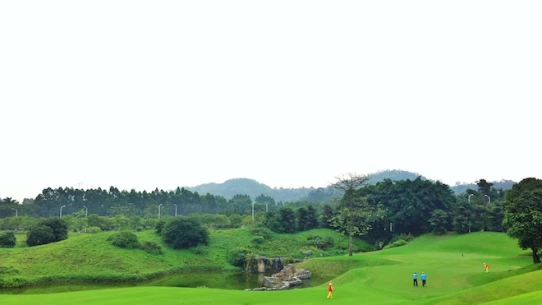 China's golf boom may have just ground to a halt.