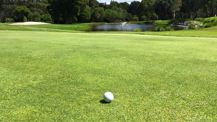 Balgowlah GC