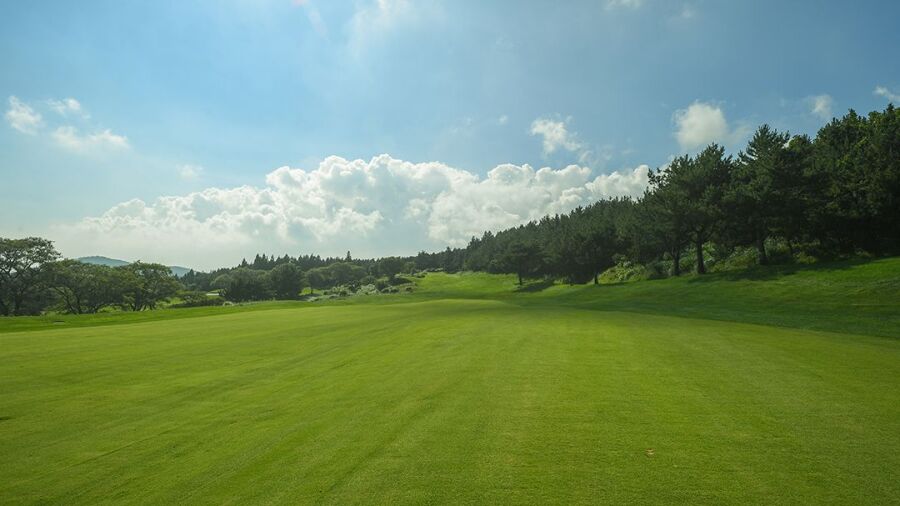 Pinx GC - North: #6