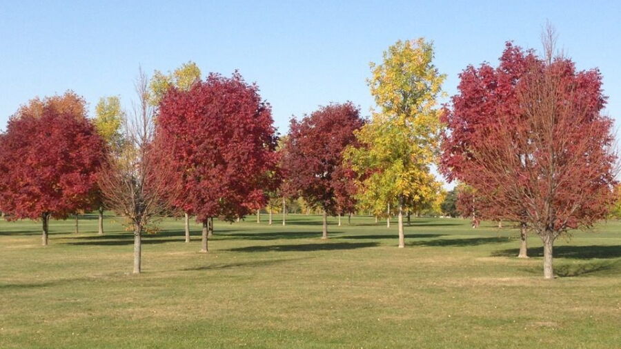 Walters Ridge at Pheasant Ridge