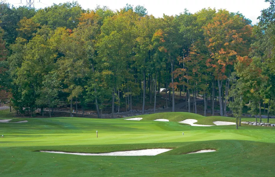 Black Bear Ridge GC: Green