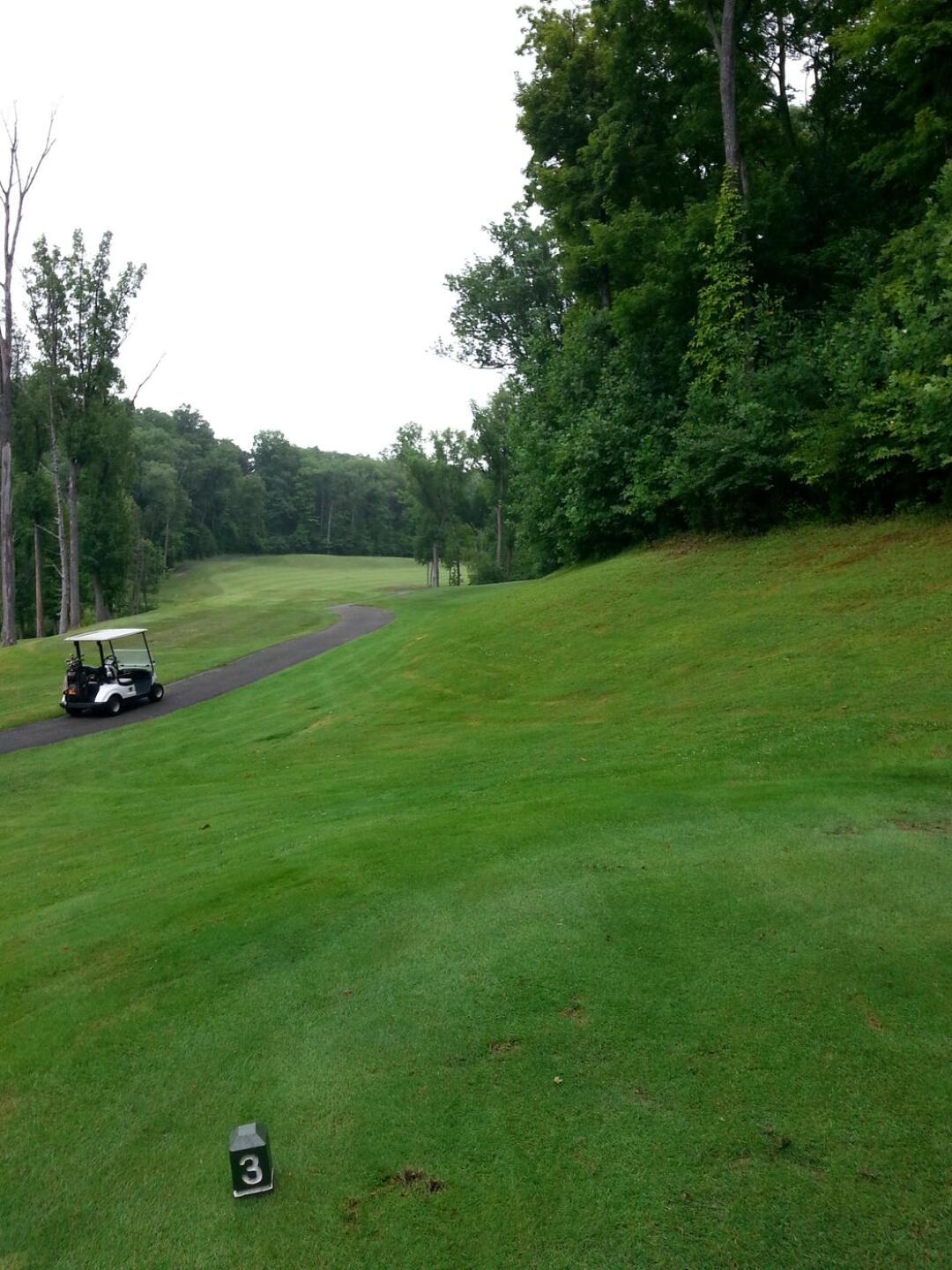 17th Tee box from black tees (Photo submitted by DavidLaDuke on 07/04/2015)