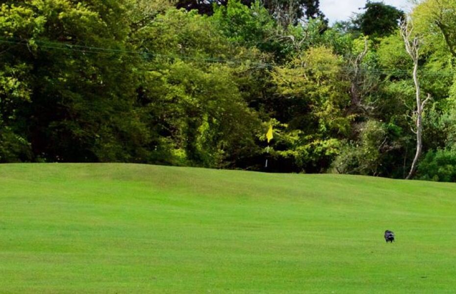 Deer Park Golf and FootGolf Pitch & Putt Course in Howth, County