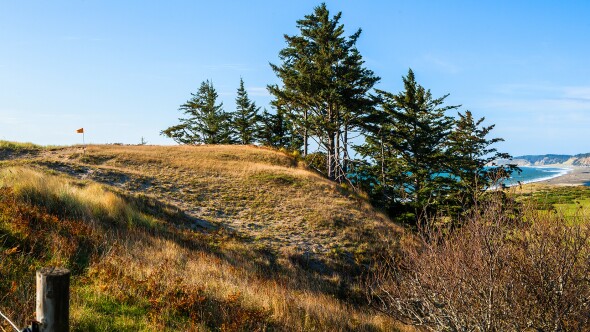 Pacific Gales - 16th green