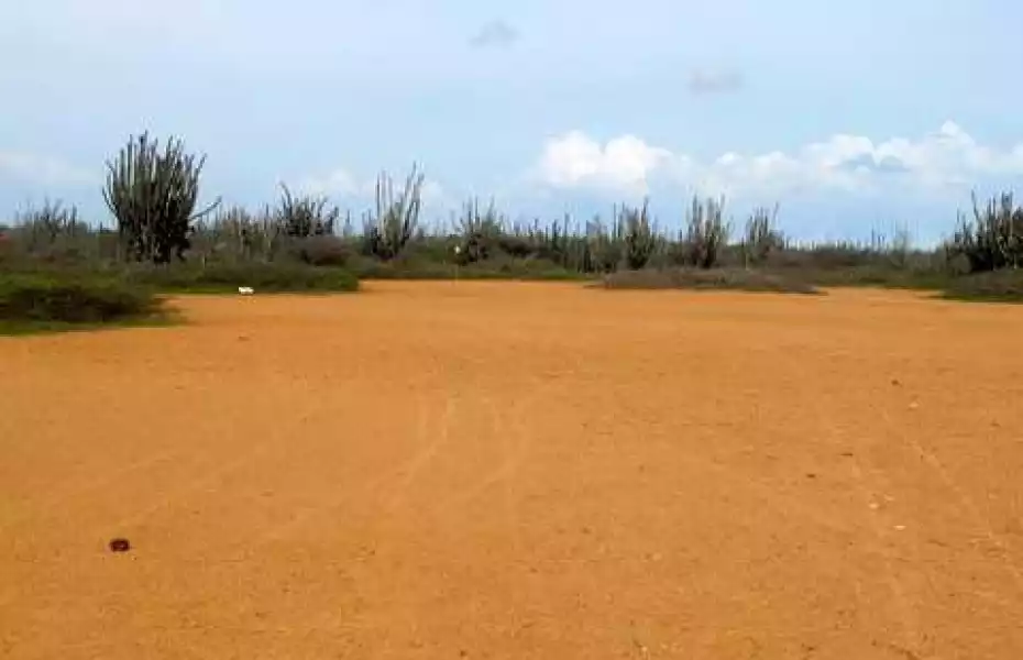 Bonairean Golf Club Piedra So