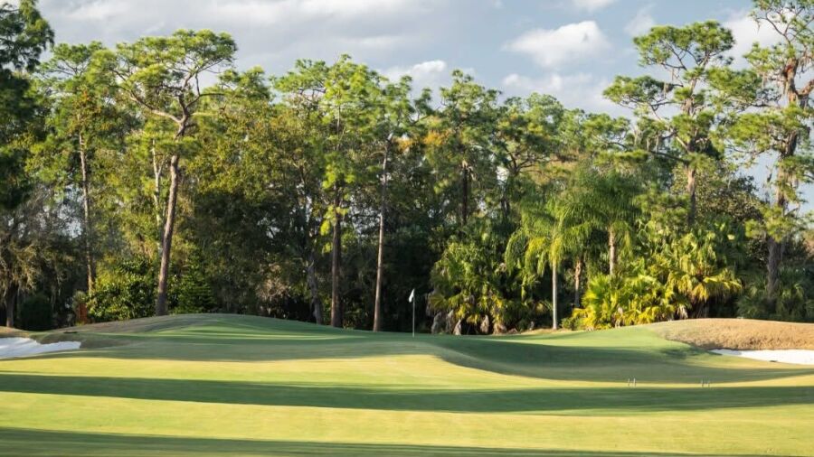 Saddlebrook Resort