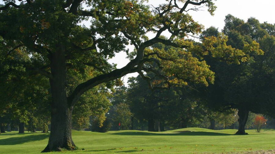 Wittelsbacher GC