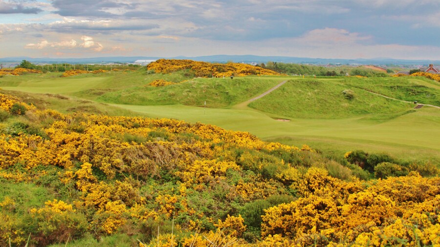 Royal Troon Golf Club - Old Course - gorse