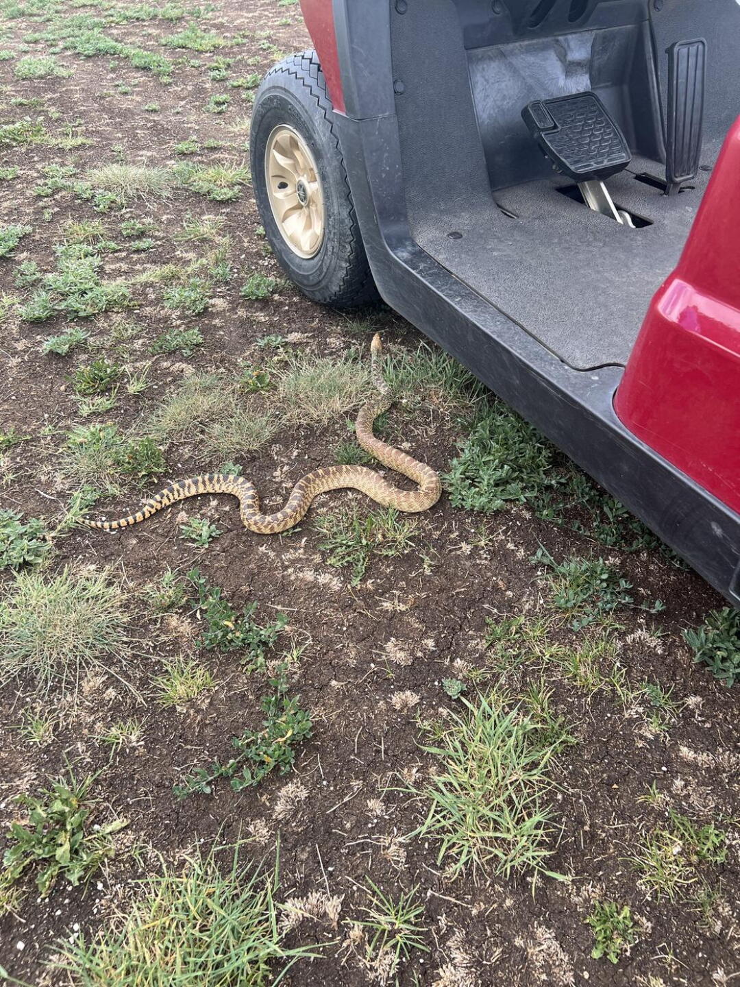 (Photo submitted by markheiks on 06/15/2022)