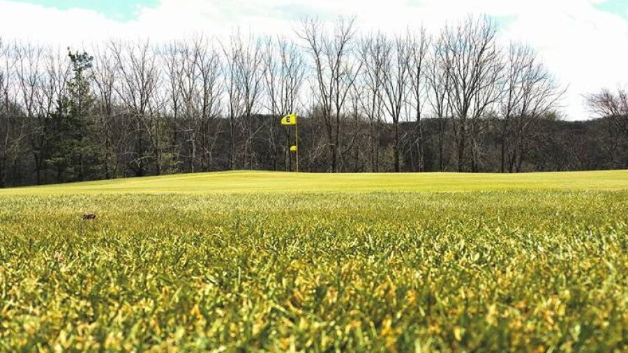 Nashua Town & CC: #3