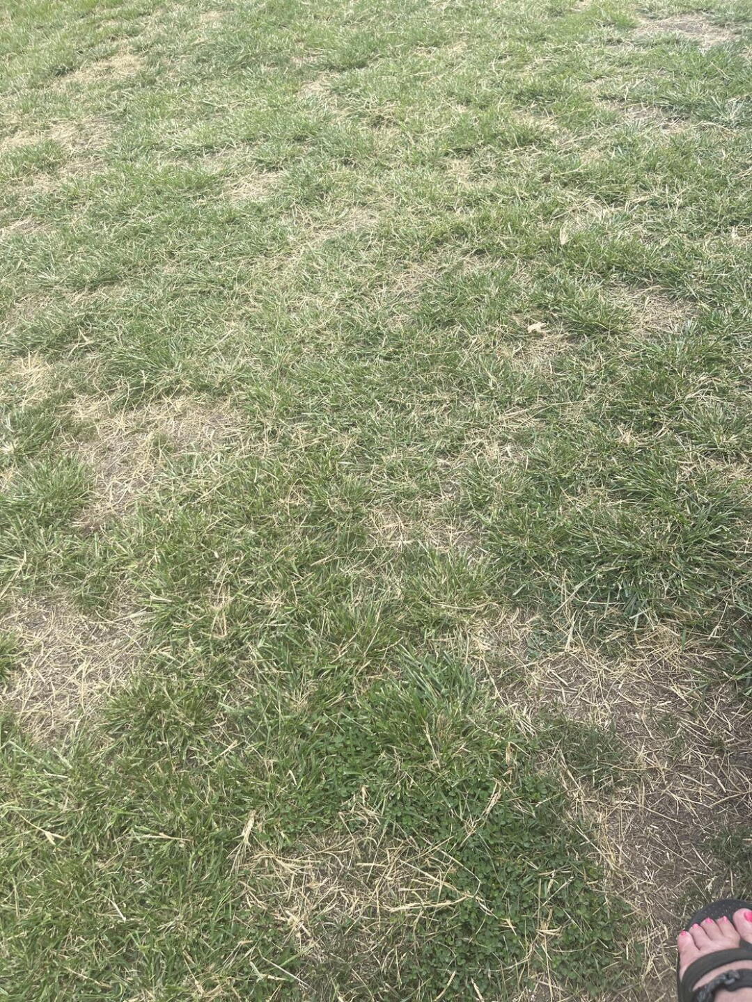Sand traps and greens (Photo submitted by u511193693 on 08/25/2025)