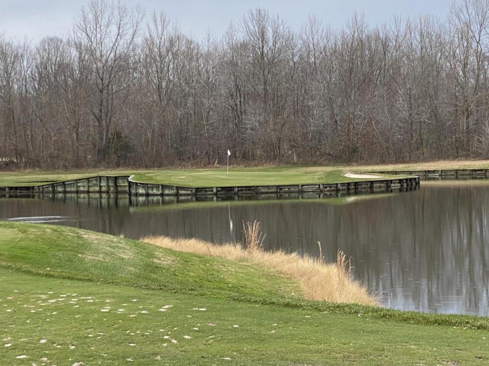 Renditions Golf Club - island green replica 