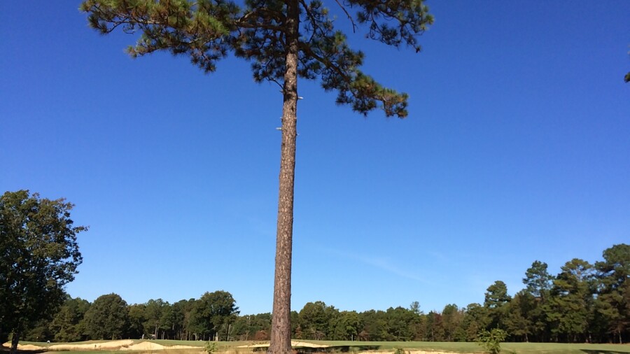 Tobacco Road - no. 4